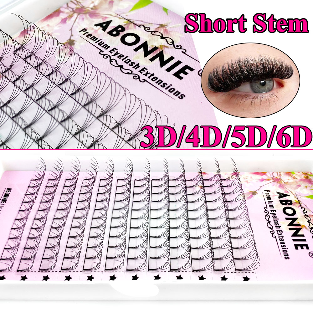 Abonnie 6D Narrow Fan Premade  - Eyelash Extension Guide recension och pris